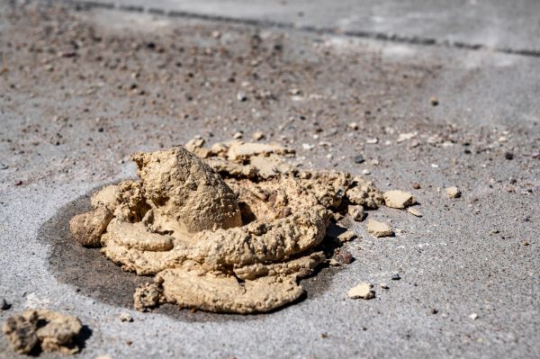 Cost of Driveway Slab Leveling in Aurora